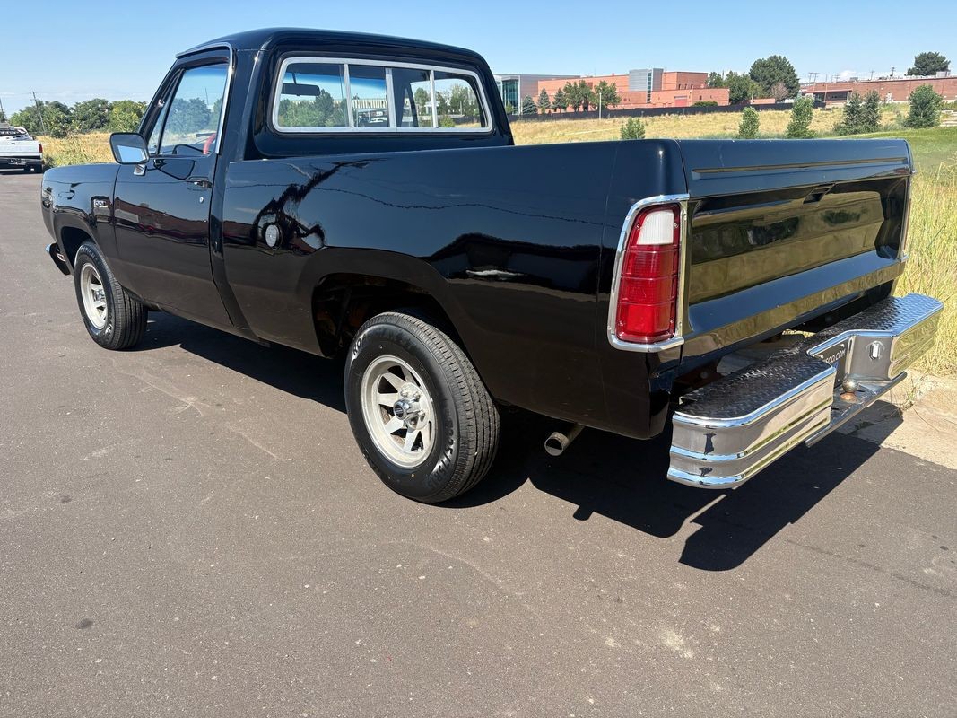 Dodge-Other-Pickups-1976-29