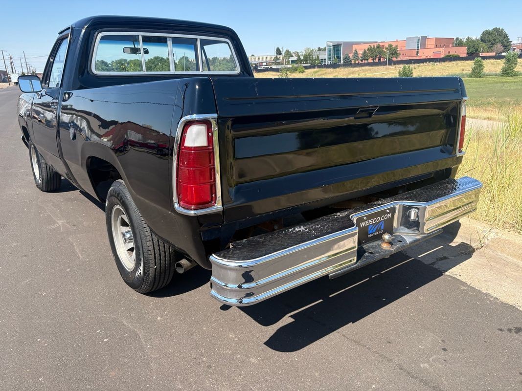 Dodge-Other-Pickups-1976-3