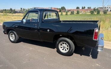Dodge-Other-Pickups-1976-30