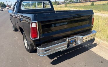 Dodge-Other-Pickups-1976-31