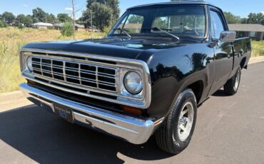 Dodge-Other-Pickups-1976-32