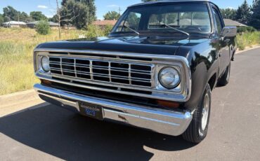 Dodge-Other-Pickups-1976-34