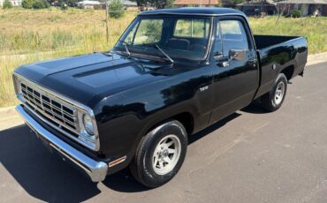 Dodge-Other-Pickups-1976