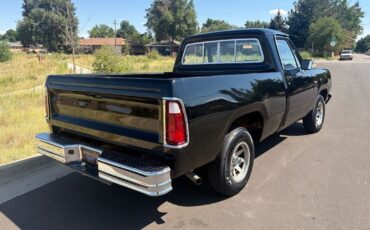 Dodge-Other-Pickups-1976-4
