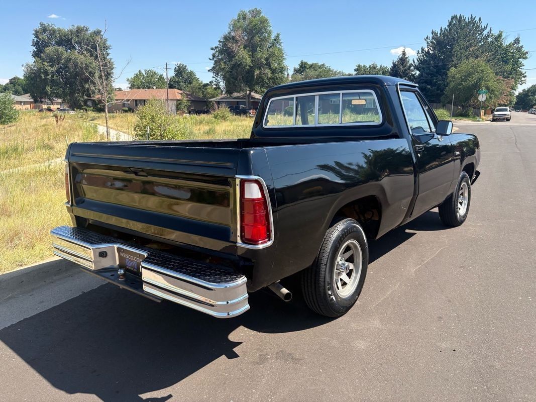 Dodge-Other-Pickups-1976-4