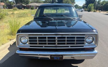 Dodge-Other-Pickups-1976-6