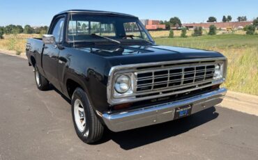 Dodge-Other-Pickups-1976-9