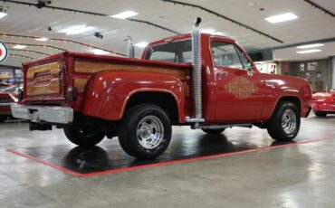 Dodge-Other-Pickups-1979-Pickup-Truck-21