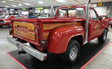 Dodge-Other-Pickups-1979-Pickup-Truck-39