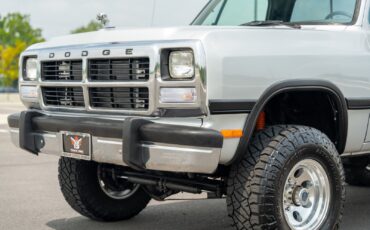 Dodge-Other-Pickups-1991-Pickup-Truck-11