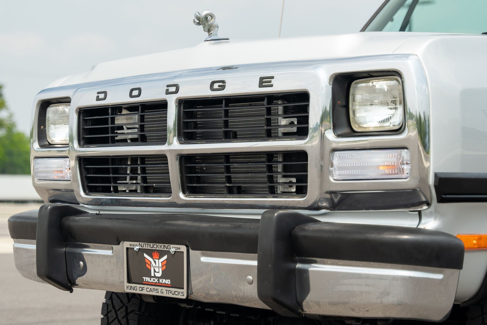 Dodge-Other-Pickups-1991-Pickup-Truck-12