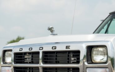 Dodge-Other-Pickups-1991-Pickup-Truck-13