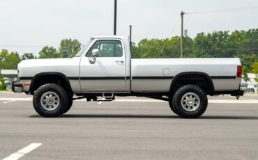 Dodge-Other-Pickups-1991-Pickup-Truck-16