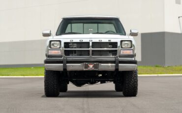 Dodge-Other-Pickups-1991-Pickup-Truck-18
