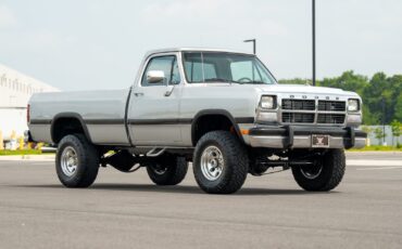 Dodge-Other-Pickups-1991-Pickup-Truck-19
