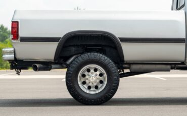 Dodge-Other-Pickups-1991-Pickup-Truck-21