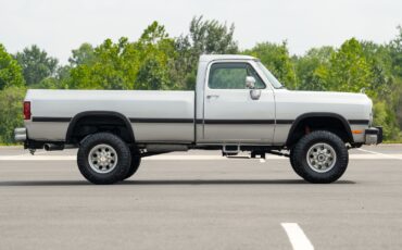 Dodge-Other-Pickups-1991-Pickup-Truck-22