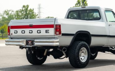 Dodge-Other-Pickups-1991-Pickup-Truck-24