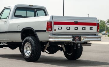Dodge-Other-Pickups-1991-Pickup-Truck-25