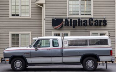 Dodge-Other-Pickups-1992-Pickup-Truck-10