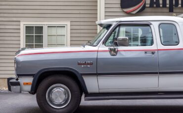 Dodge-Other-Pickups-1992-Pickup-Truck-12