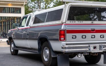 Dodge-Other-Pickups-1992-Pickup-Truck-14