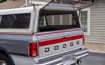 Dodge-Other-Pickups-1992-Pickup-Truck-15