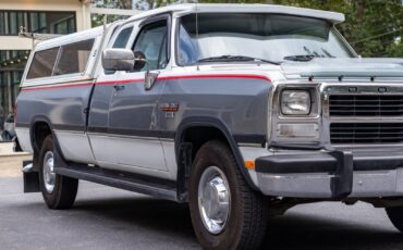 Dodge-Other-Pickups-1992-Pickup-Truck-23