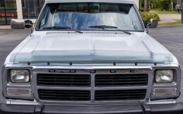 Dodge-Other-Pickups-1992-Pickup-Truck-24
