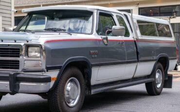 Dodge-Other-Pickups-1992-Pickup-Truck-25