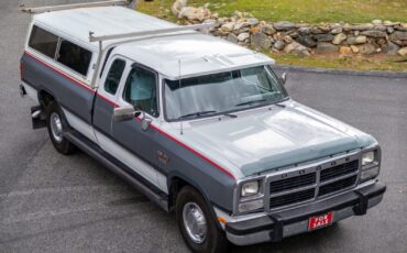 Dodge-Other-Pickups-1992-Pickup-Truck-3