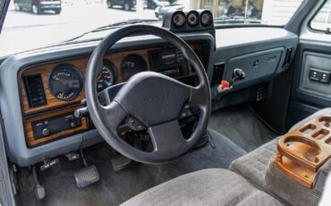 Dodge-Other-Pickups-1992-Pickup-Truck-32