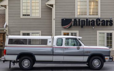 Dodge-Other-Pickups-1992-Pickup-Truck-4