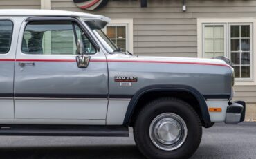 Dodge-Other-Pickups-1992-Pickup-Truck-6