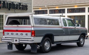 Dodge-Other-Pickups-1992-Pickup-Truck-7