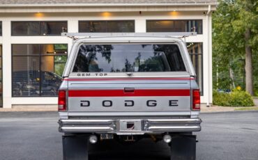 Dodge-Other-Pickups-1992-Pickup-Truck-8
