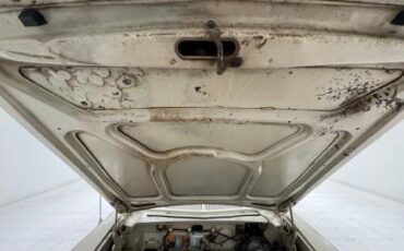 Dodge-Polara-1963-Polar-White-Blue