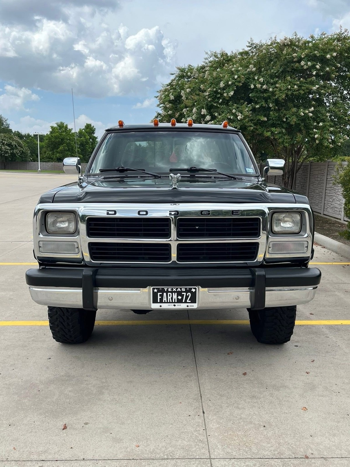 Dodge-Ram-1993-17