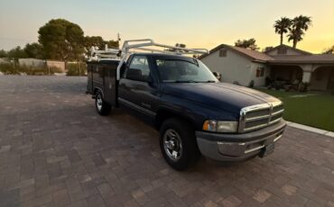 Dodge-Ram-2500-1995-Standard-Cab-Pickup-2