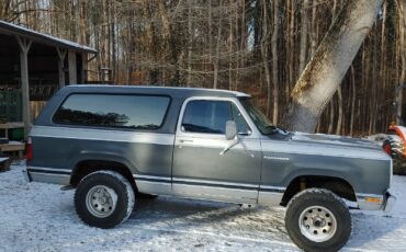 Dodge-Ramcharger-1980-SUV-15