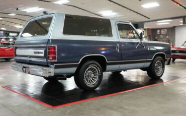 Dodge-Ramcharger-1987-Light-Blue-Light-Blue-19