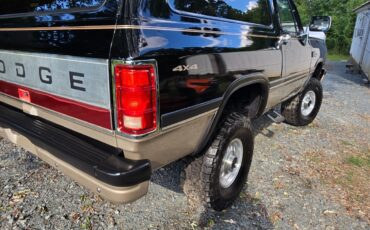 Dodge-Ramcharger-1993-SUV-6
