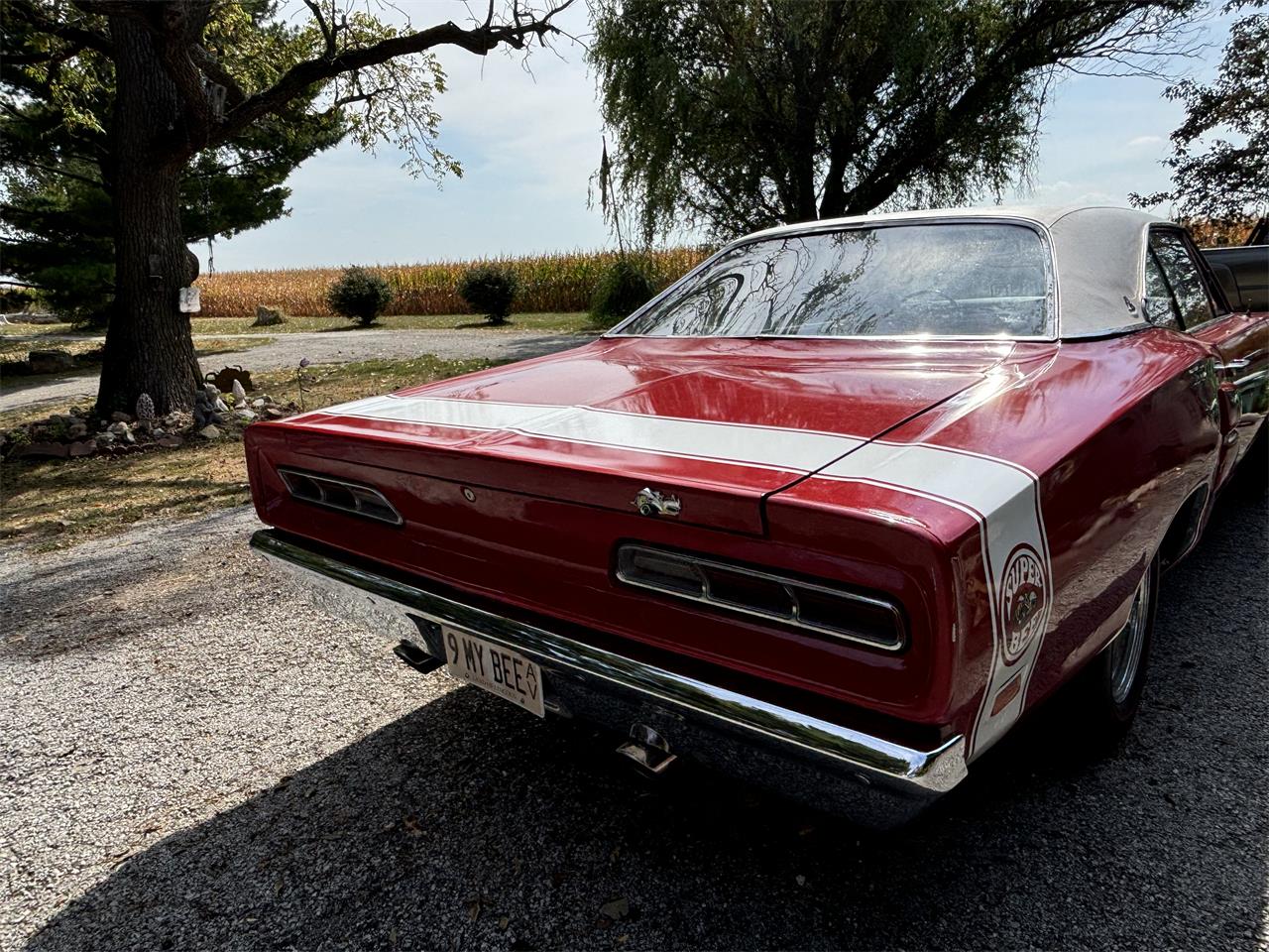 Dodge-Super-bee-1969-Red-Black-1