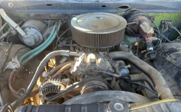 Dodge-adventure-sports-4-x-4-1973-green-2
