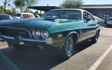 Dodge-challenger-rallye-1974-green-2