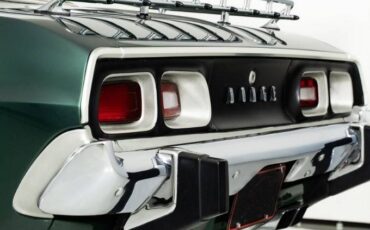 Dodge-challenger-rallye-1974-green-21