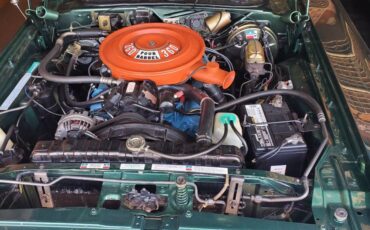 Dodge-challenger-rallye-1974-green-9