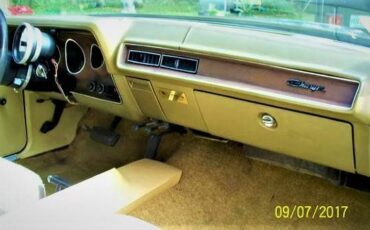 Dodge-charger-rallye-1972-brown-13