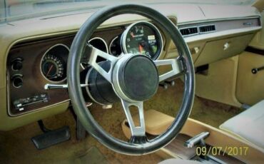 Dodge-charger-rallye-1972-brown-18