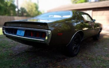 Dodge-charger-rallye-1972-brown-22